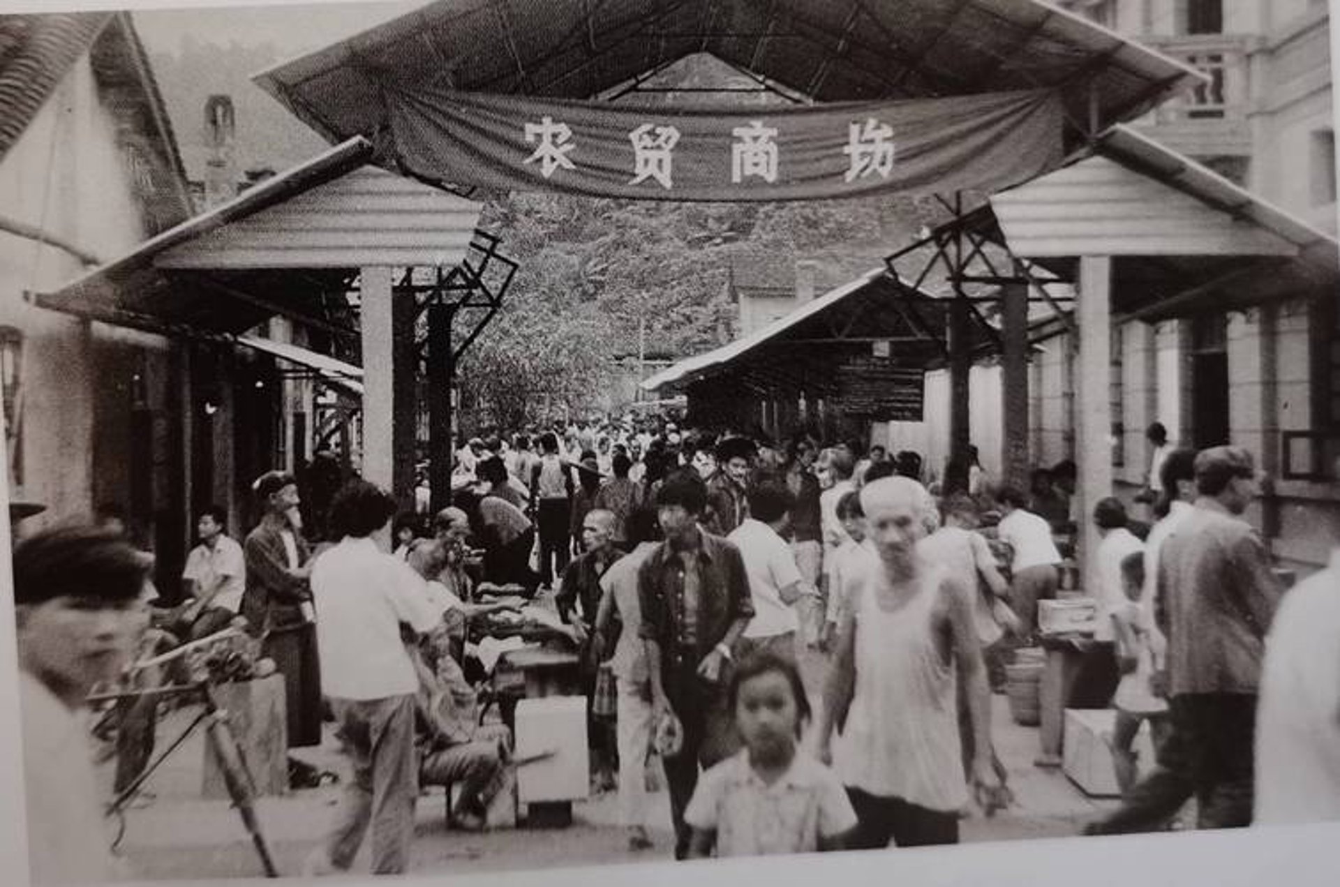 明发国际贸易